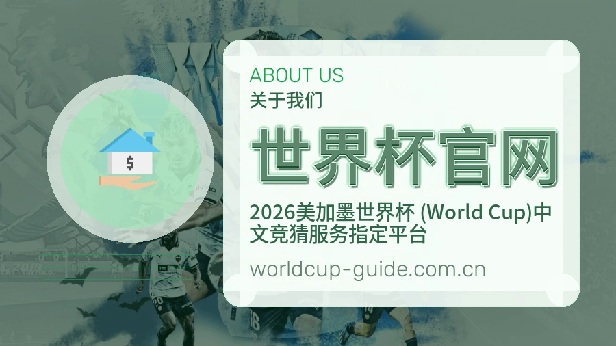 关于世界杯官网